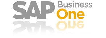 Connect your application to the SAP Business One web-client!